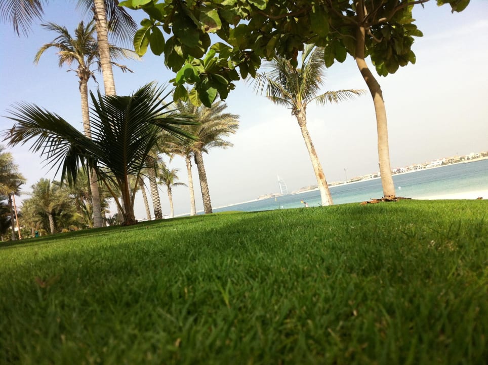 Im Gras liegen und den Ausblick genießen Atlantis, The Palm