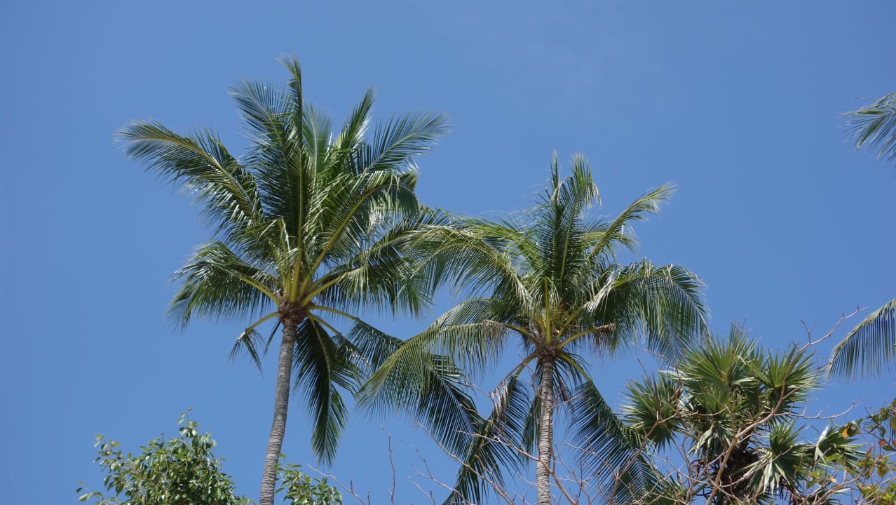 Strand Hotel By The Sea Residence