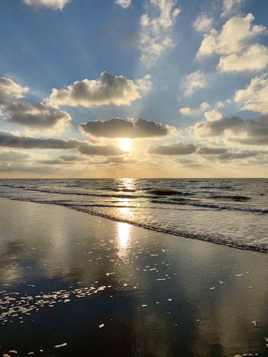Strand Center Parcs Park Zandvoort - Ferienhäuser