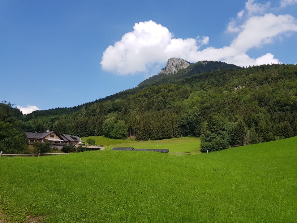 Ausblick Waldhof Fuschlsee Resort
