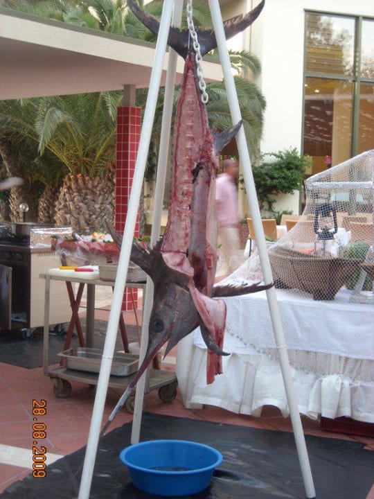 Abendessen am 28.8.09 Arum Barut Collection