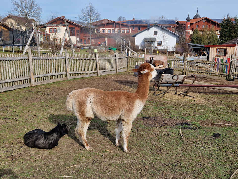 Sonstiges Familotel Der Böhmerwald - Euer Familienhotel im Bayerischen Wald