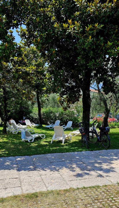 Pool Hotel Alpi - Residence al Parco