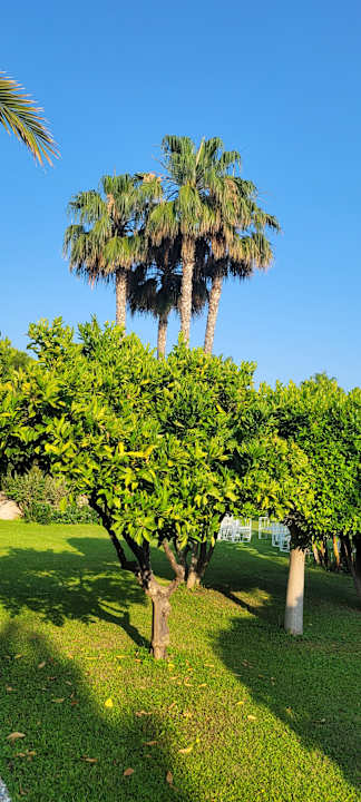 Gartenanlage Bella Resort & Spa