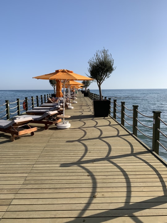 Strand Arum Barut Collection