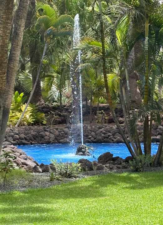 Gartenanlage Hotel Riu Palace Oasis