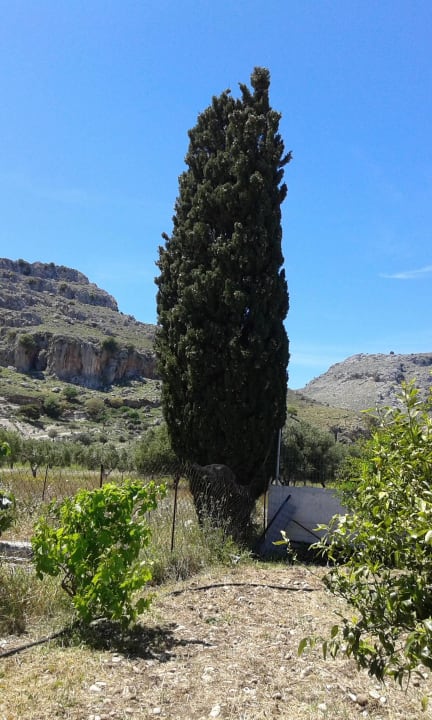 Garten Guesthouse Stergio's Villa