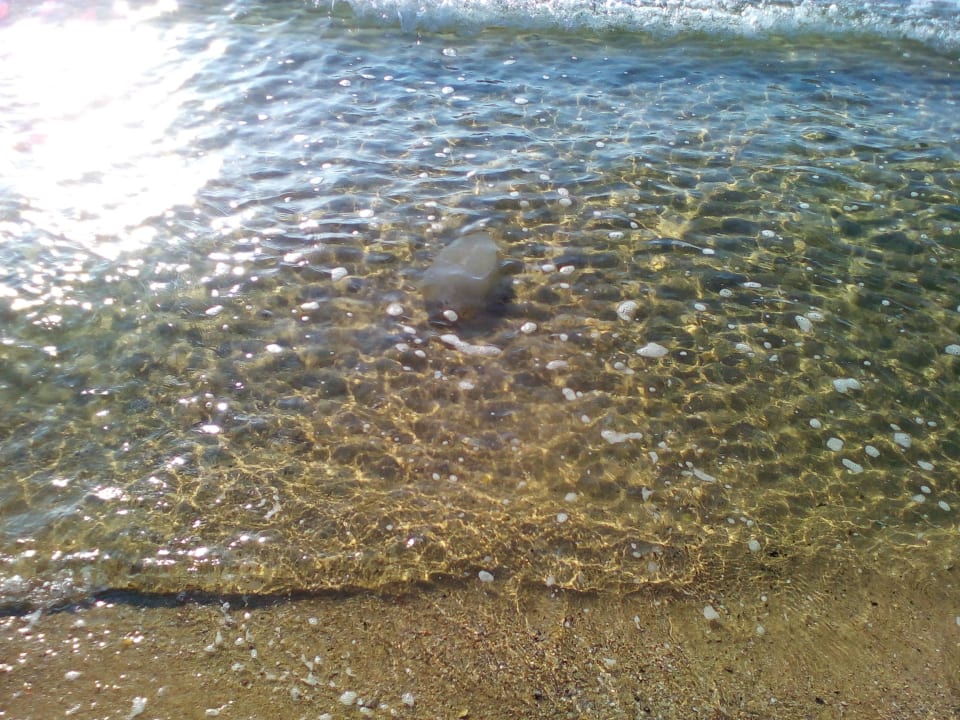 Hotel Golden Club  Golden Club Cabanas