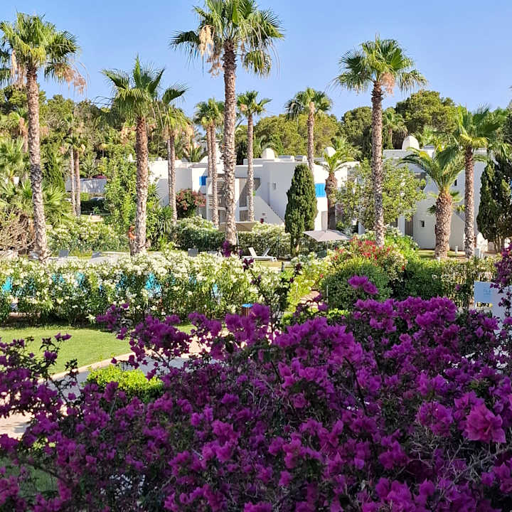 Gartenanlage Cala Llenya Resort Ibiza