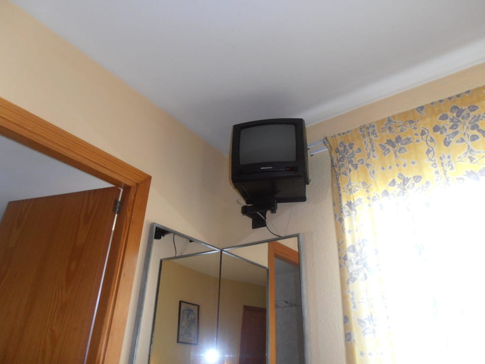 W TV polski kanał Garden Saladina