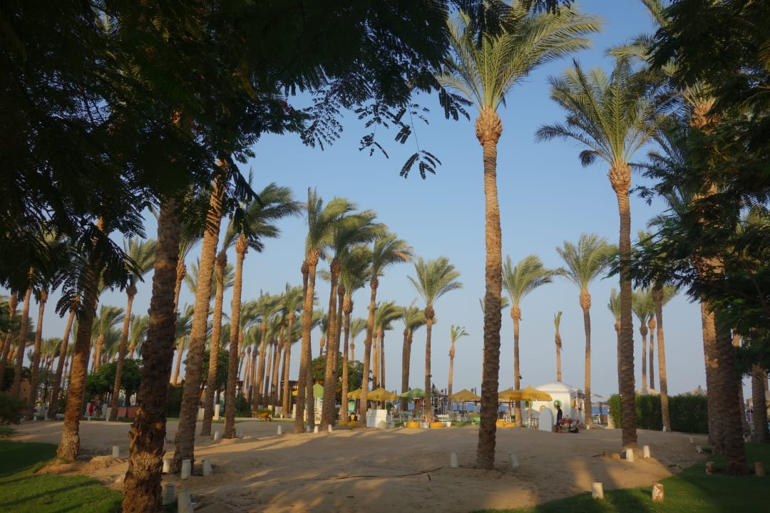 Strand Makadi Palace