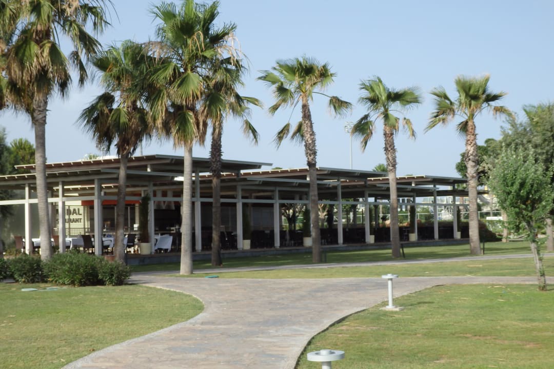 Sandal Restaurant Lara Barut Collection