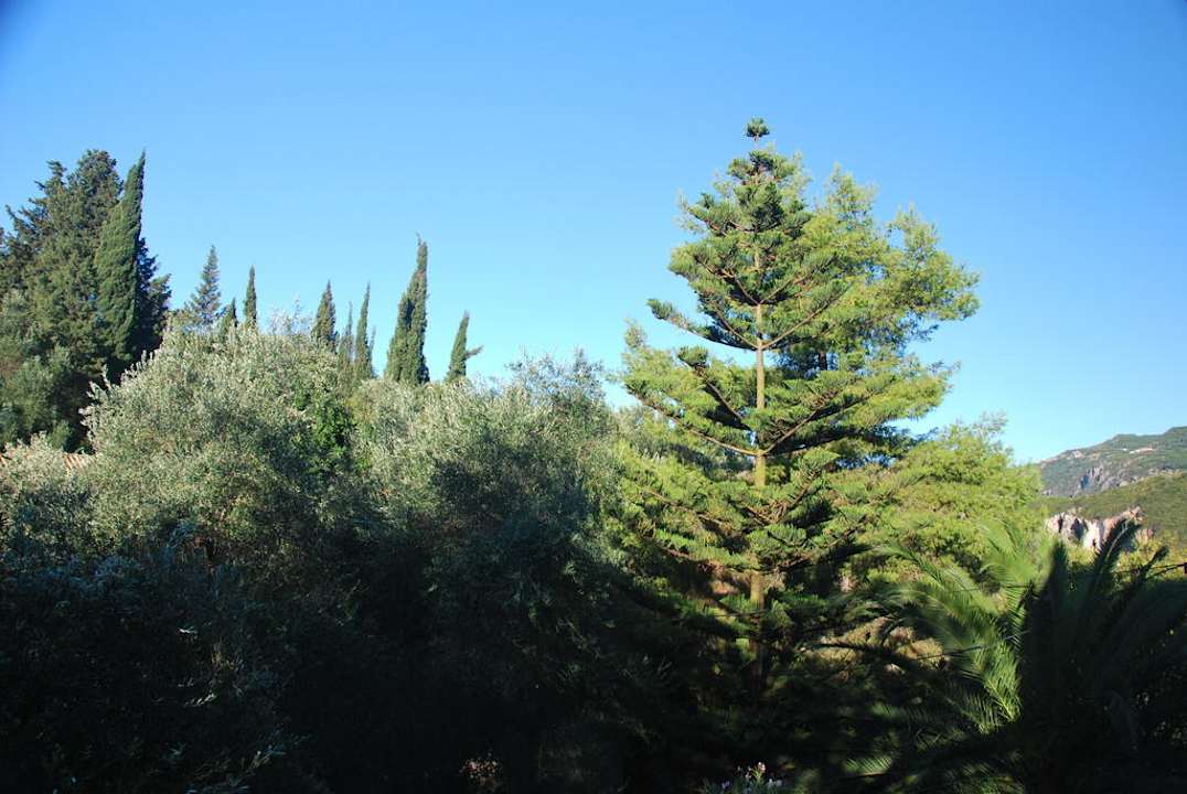 Innenhof von oben Hotel & Apartments Liapades Beach