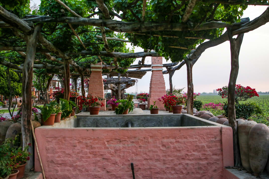 Gartenanlage Hotel Viñas Queirolo