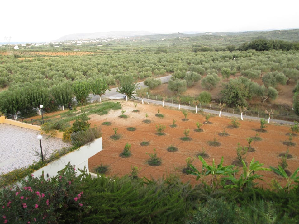 Blick vom Balkon Pinelopi Apartments