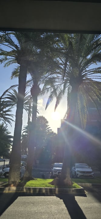 Ausblick Hotel Riu Palace Oasis