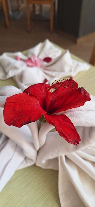 Gastro Skanes Serail Aquapark