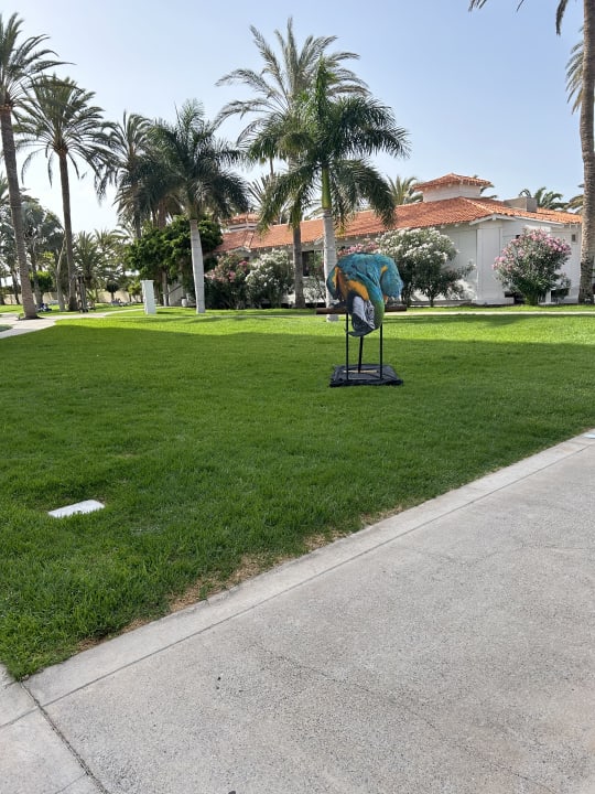 Gartenanlage ROBINSON JANDIA PLAYA