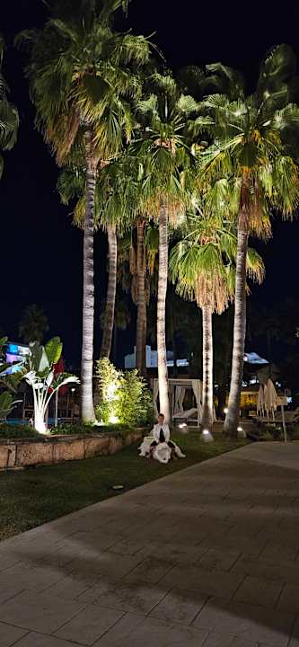 Außenansicht INNSiDE Alcudia