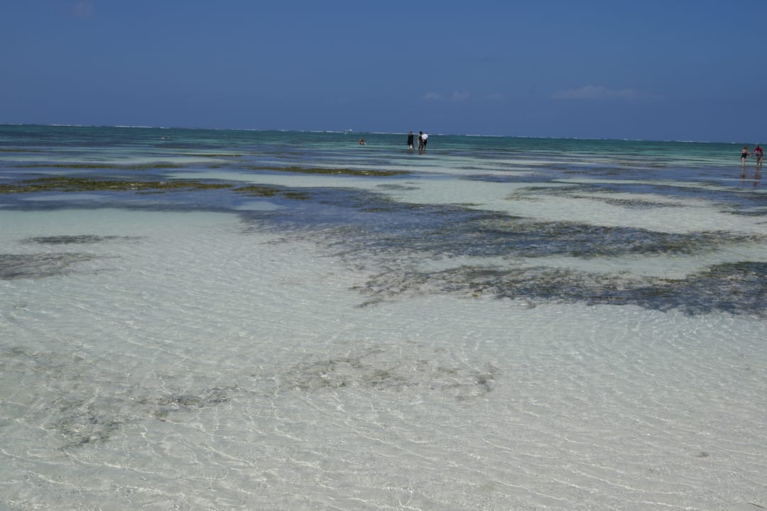 Strand Neptune Paradise Beach Resort & Spa