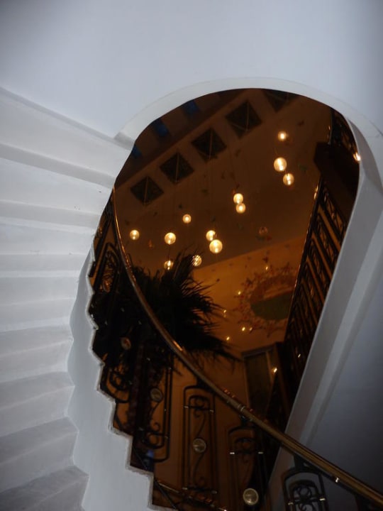 Wyglad wewnętrzny Papillon Ayscha