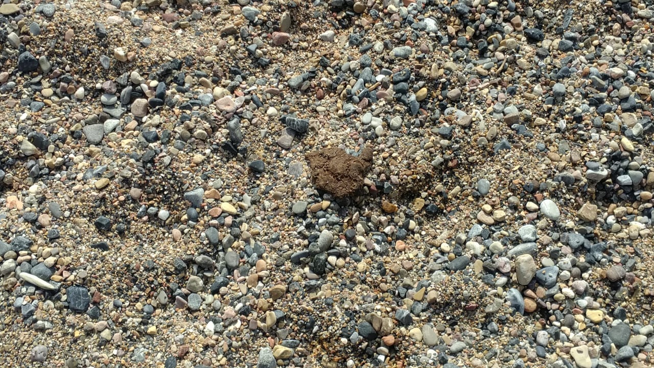 Strand Latanya Park Resort