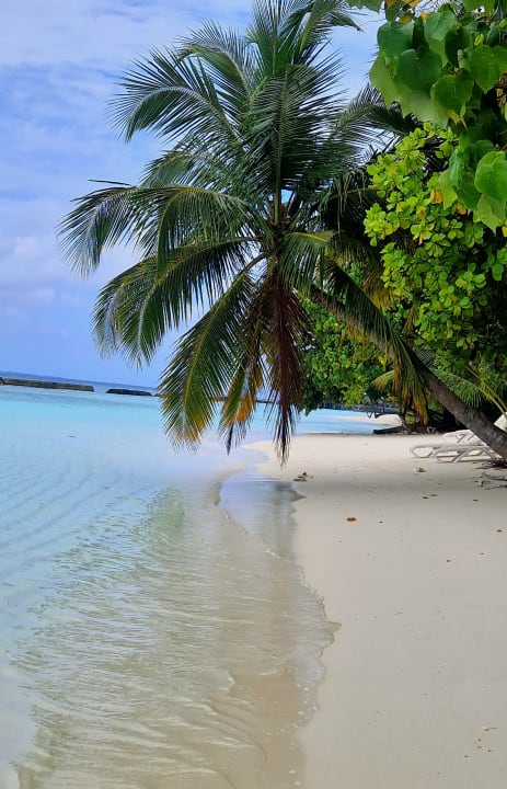 Strand Kuramathi Maldives
