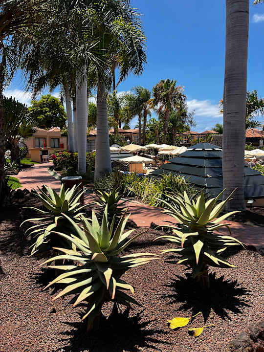 Gartenanlage allsun Hotel Esplendido
