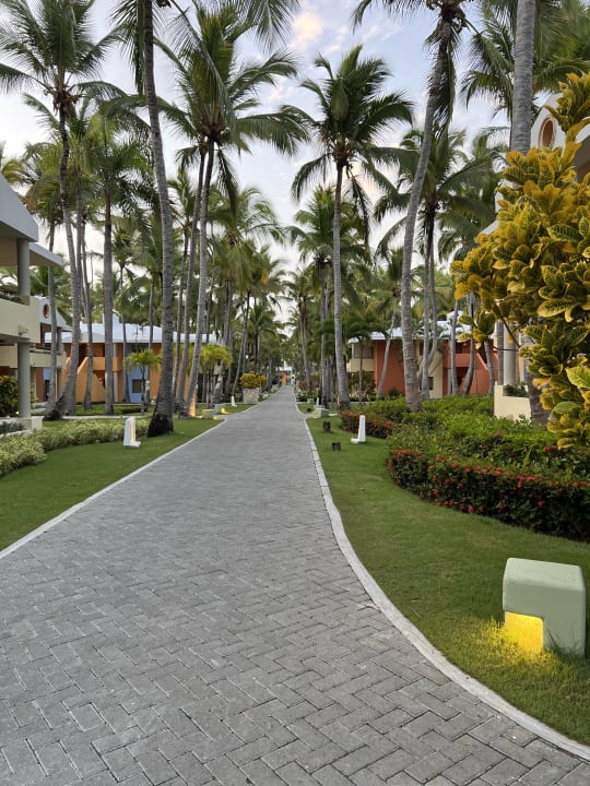 Gartenanlage Iberostar Selection Coral Bávaro