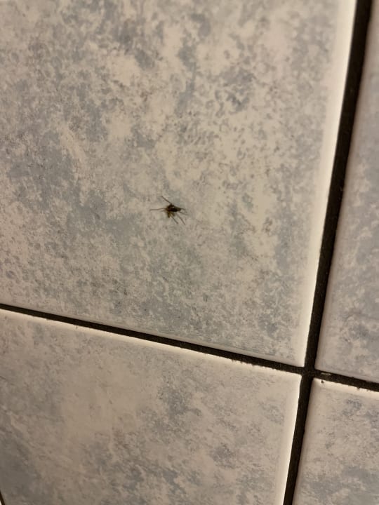 Zimmer Leda Village Resort