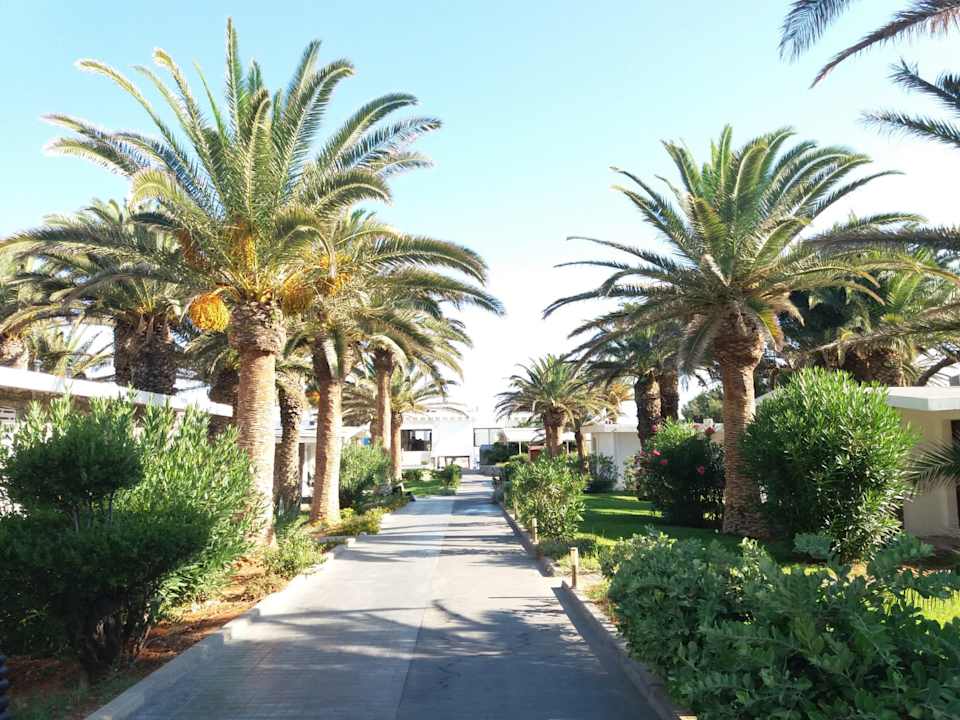 Gartenanlage Civitel Creta Beach