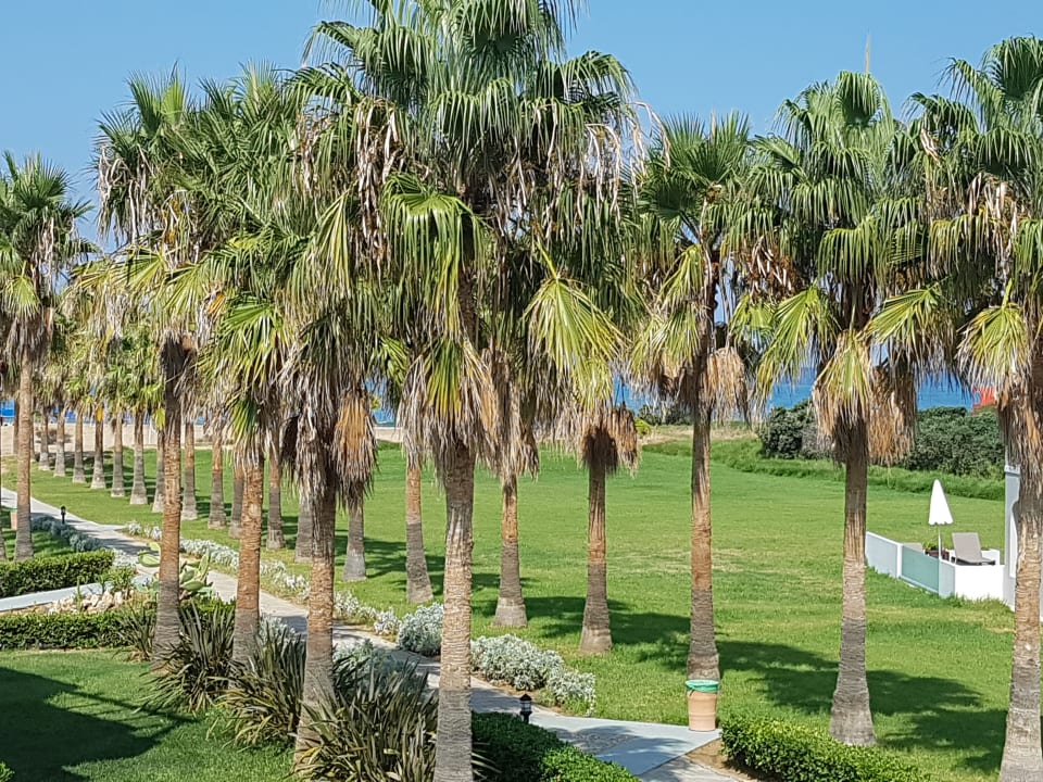 Gartenanlage Delfina Tropic Beach