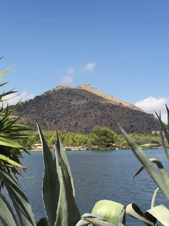 Ausblick vom Pool VIVA Eden Lago