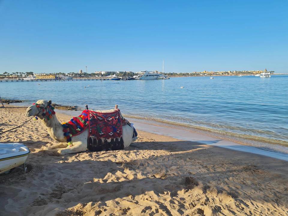 Strand Jaz Makadi Oasis Resort