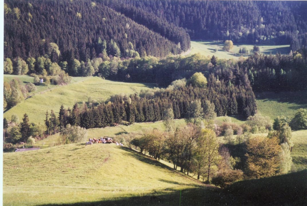 Herbstliche Landschaft um Gebersdorf Hotel-Gasthaus Steiger