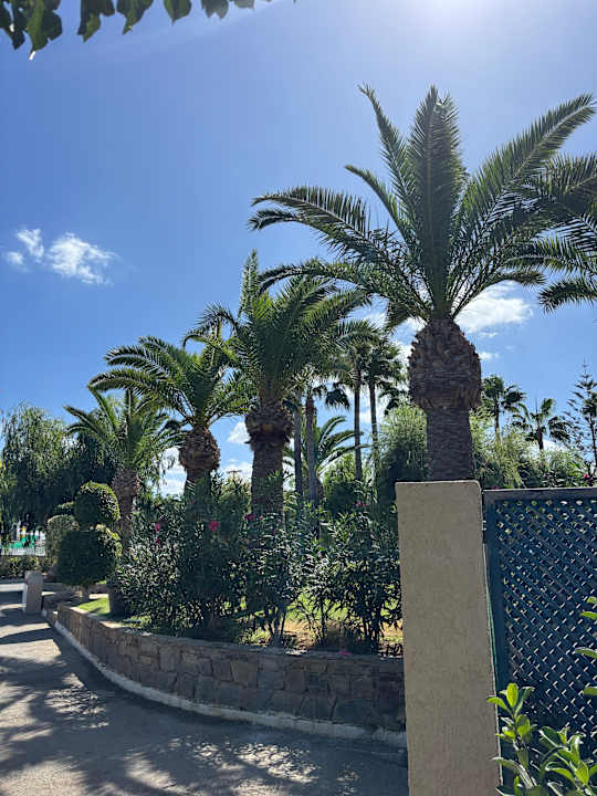 Gartenanlage Iberostar Waves Creta Panorama & Mare