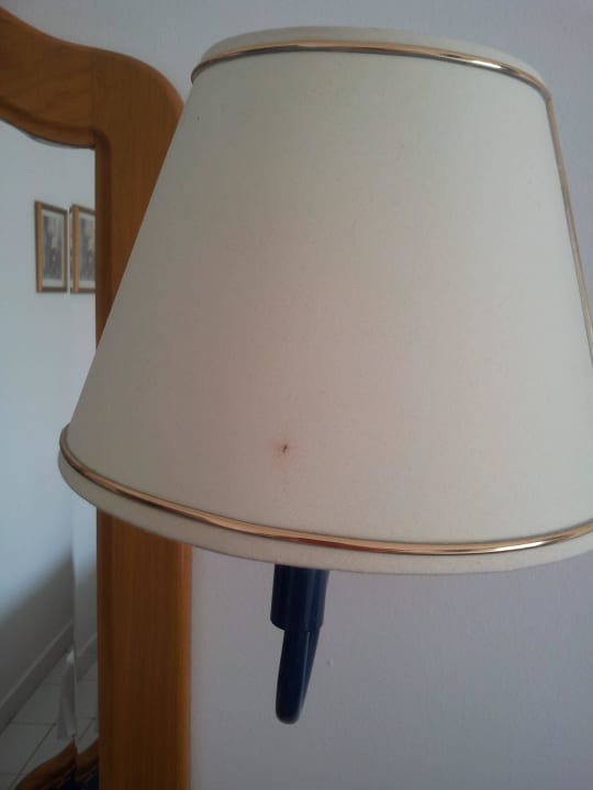 Dreckige Lampenschirme Desert Rose