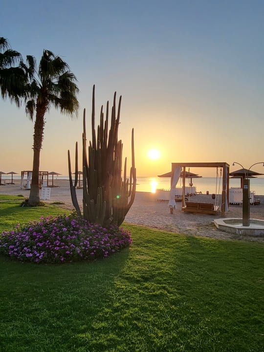 Strand Shams Prestige Abu Soma-Adults Only