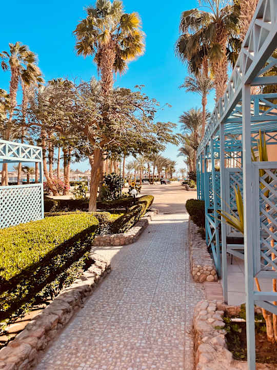 Ausblick Giftun Azur Resort