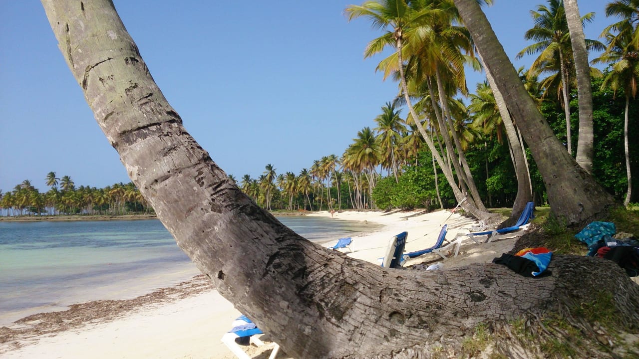 Wie im Traum Wyndham Alltra Samana