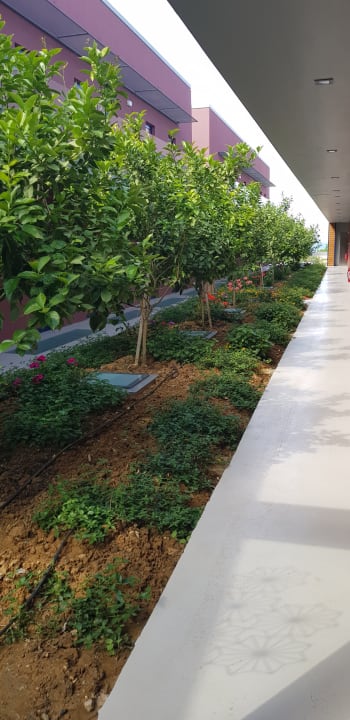 Aussenanlage Harmony Boutique Resort