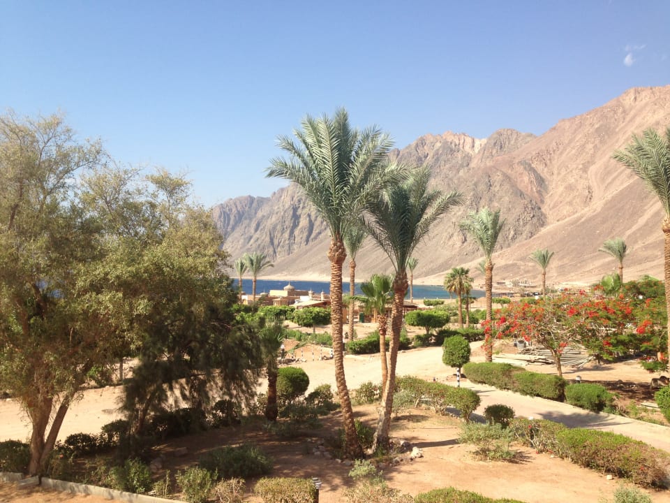 Ausblick Happy Life Village