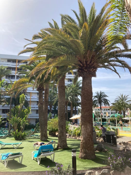 Außenansicht Abora Buenaventura by Lopesan Hotels