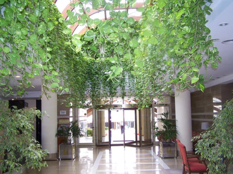 Eingang Welikehotel Marfil Playa