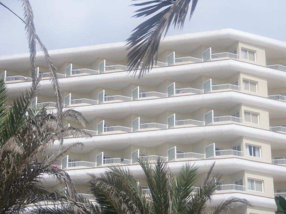 Hotel von der Gartenanlage gesehen Hotel Riu Oliva Beach Resort