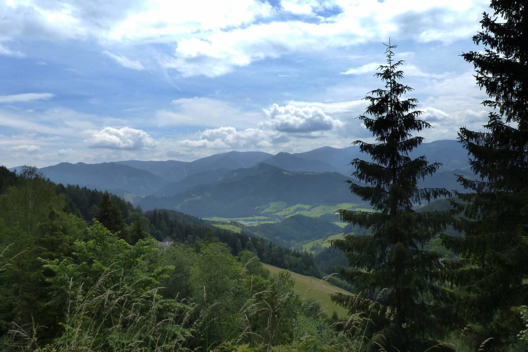 Fauna & Flora auf der Bienanalm LUXGUT - OLIVIA