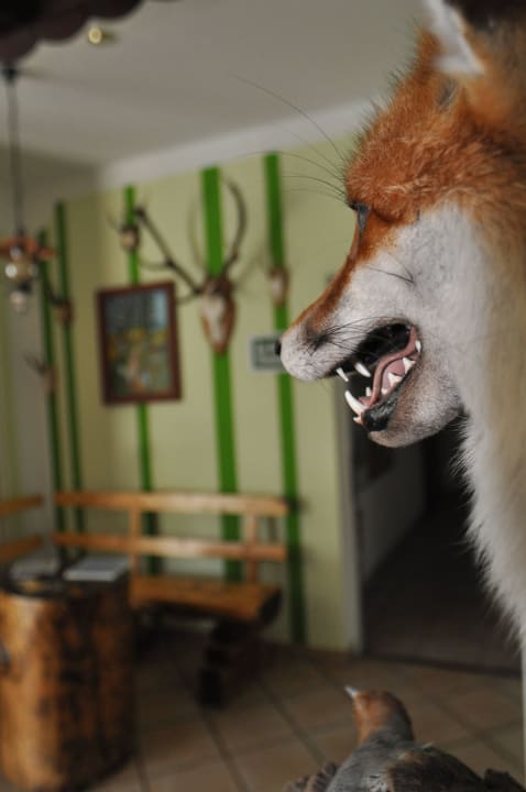 Foyer Rennsteighotel Herrnberger Hof