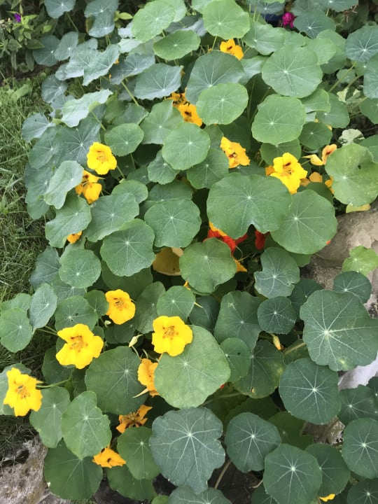 Außenansicht Ferienwohnung Landhaus Jörg