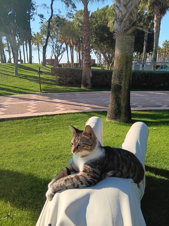 Gartenanlage Limak Limra Hotel & Resort