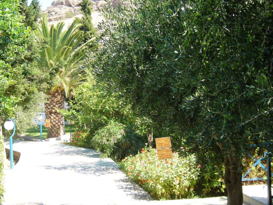 Zugangsweg zu den einzelnen Hotelgebäuden Paralos Irini Mare